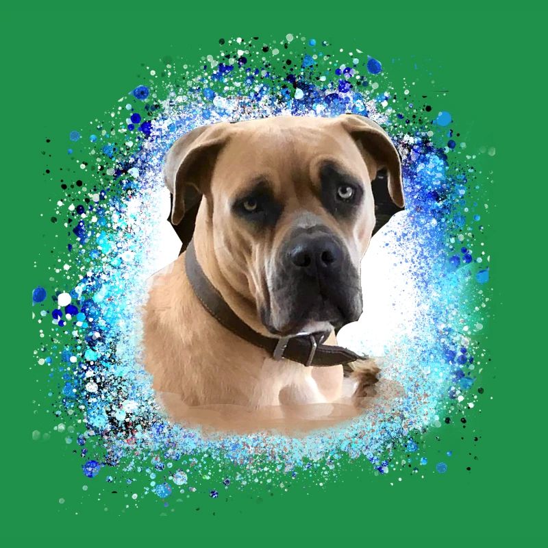 Cane Corso,Chien,Peinture,Graffiti,Bulldog