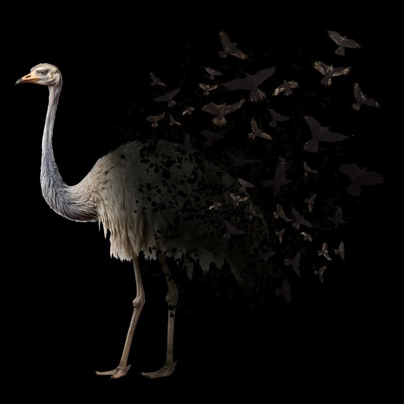 Ostrich