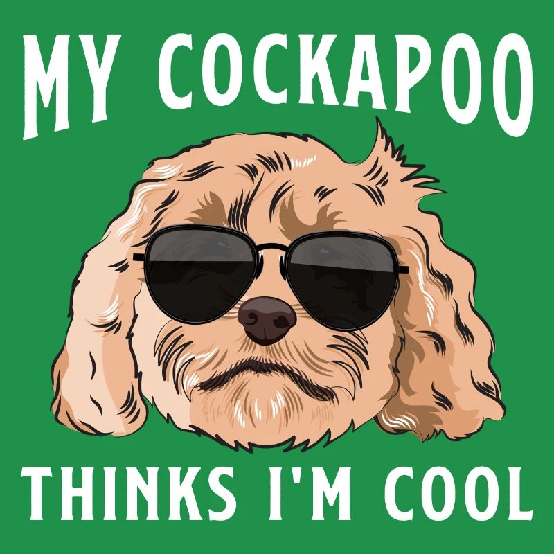 Cockapoo Hund