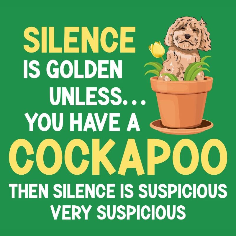Cockapoo Hund