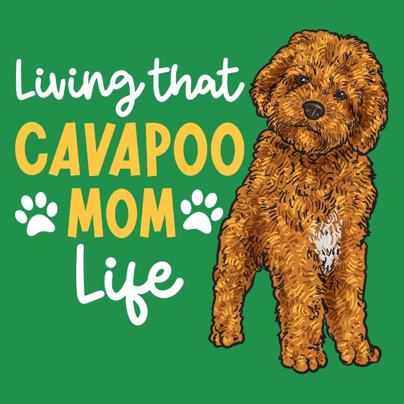 Cavapoo Cavoodle Capoodle Hund