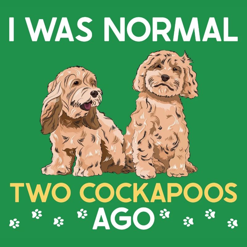 Cockapoo Chien