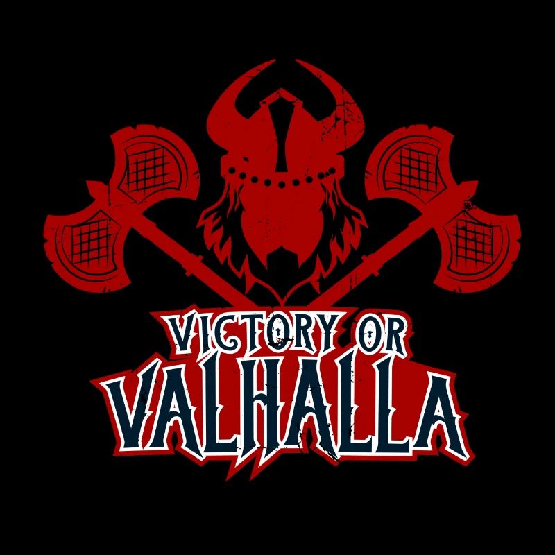 Vikings. Valhalla. Combattant.