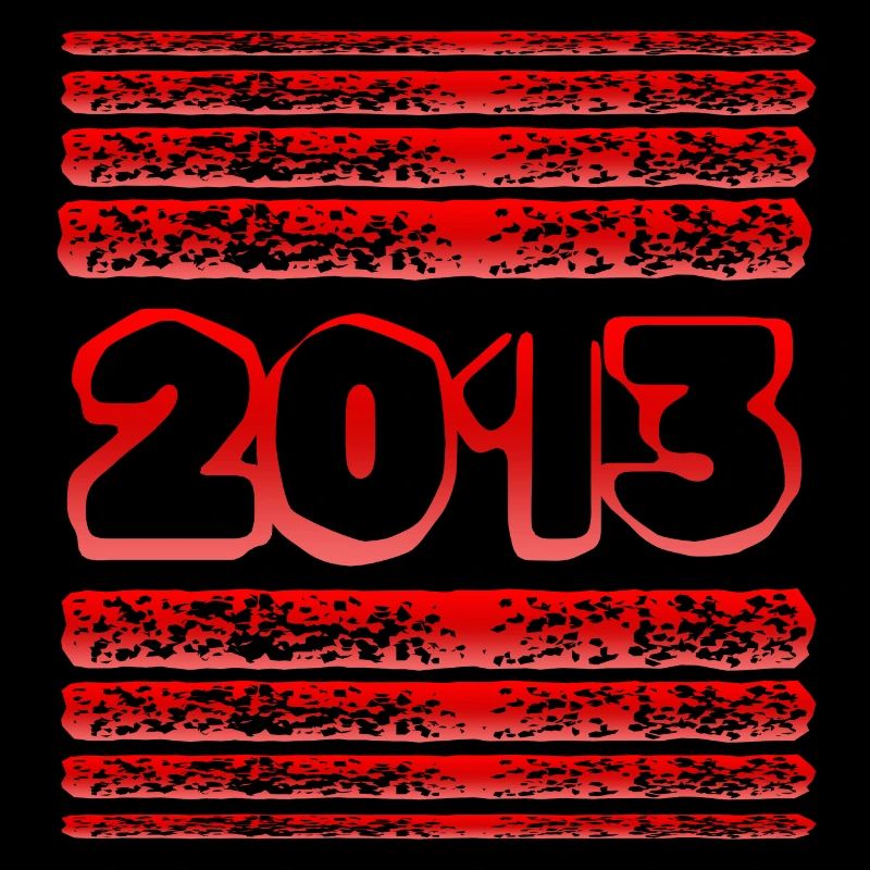 2013 2013