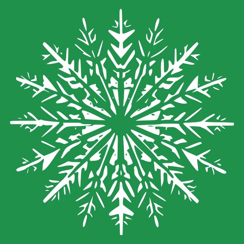Snowflake Snow Winter Christmas Cold 1