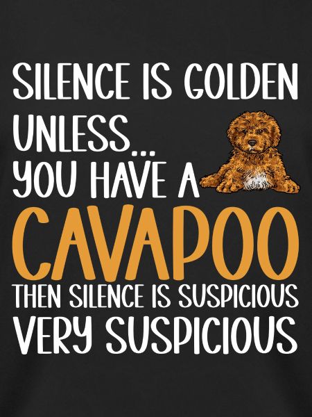 Cavapoo Cavoodle Capoodle Hund