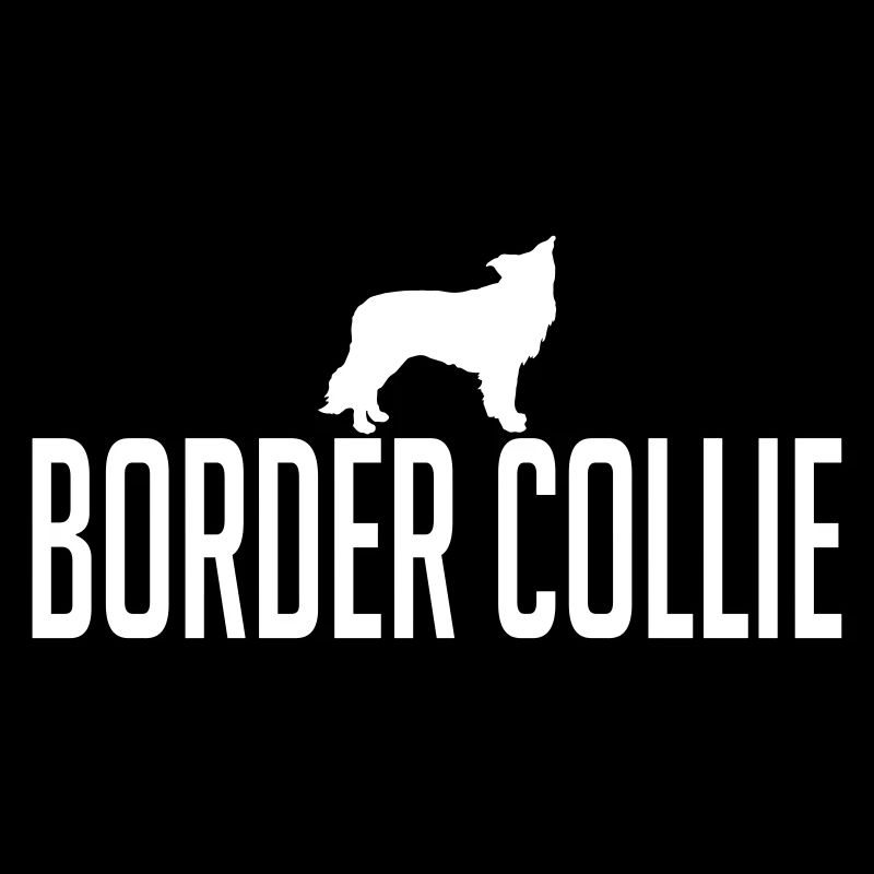 BORDER COLLIE Hunderasse