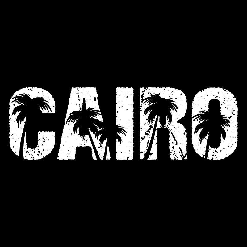 Le Caire Palmiers Égypte Le Caire