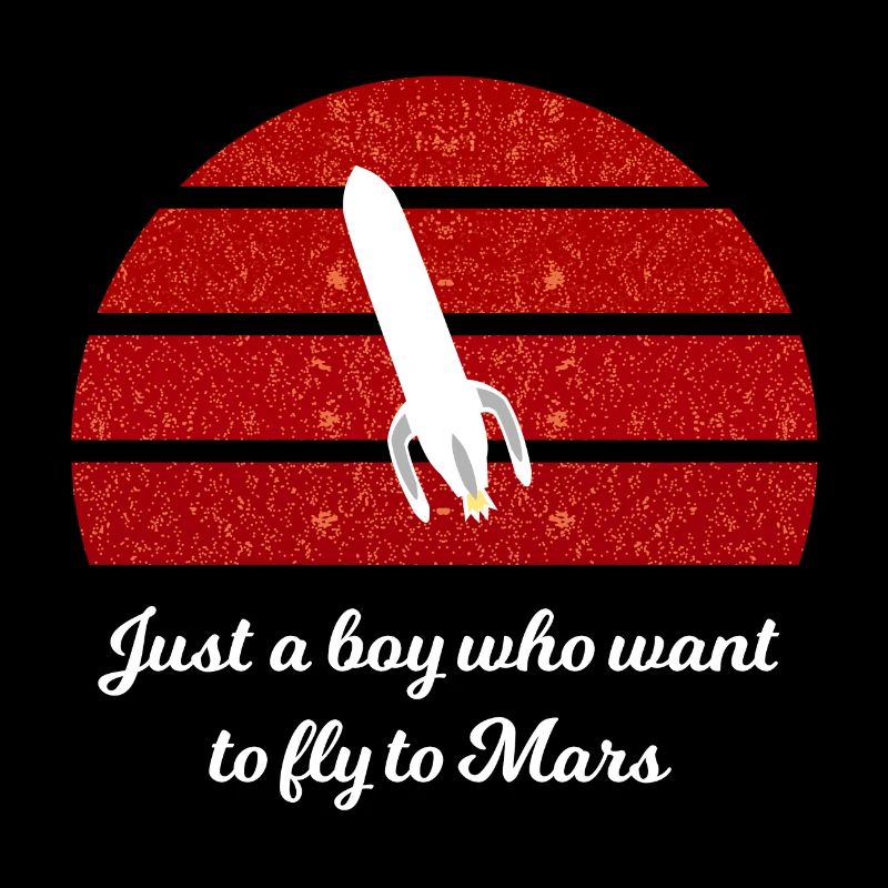 Le vol dans l’espace