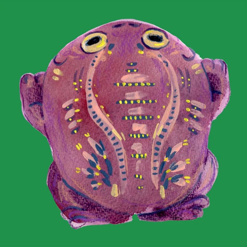 Purple Toad
