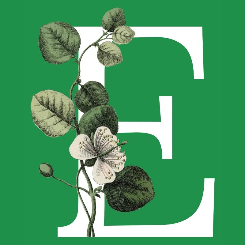 lettre e botanique vert