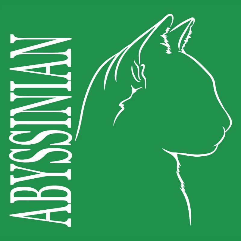 Abyssinian Profile Cats Cat Wilsigns