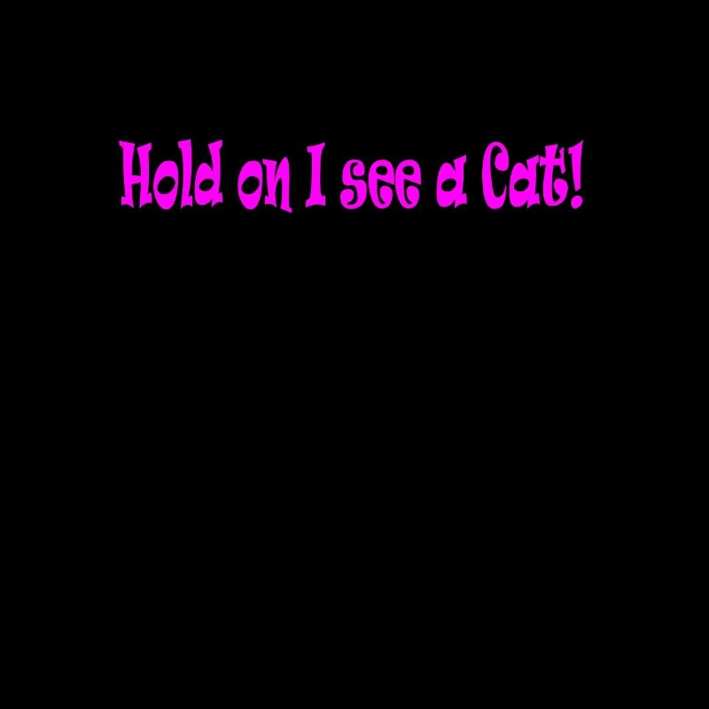 Hold on i see a Cat