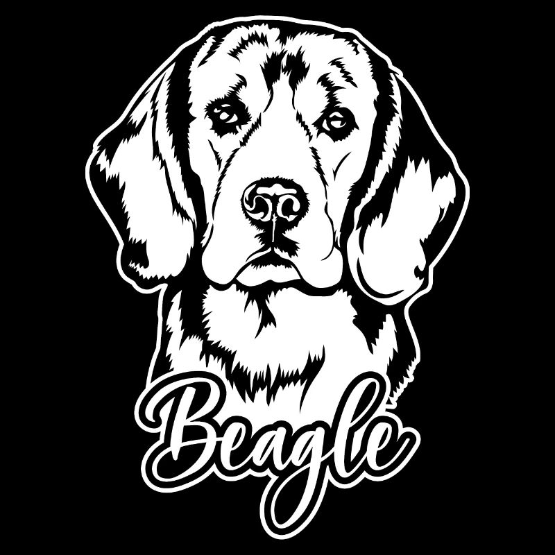BEAGLE Hundeportrait Hund Hunde Wilsigns Jagdhund