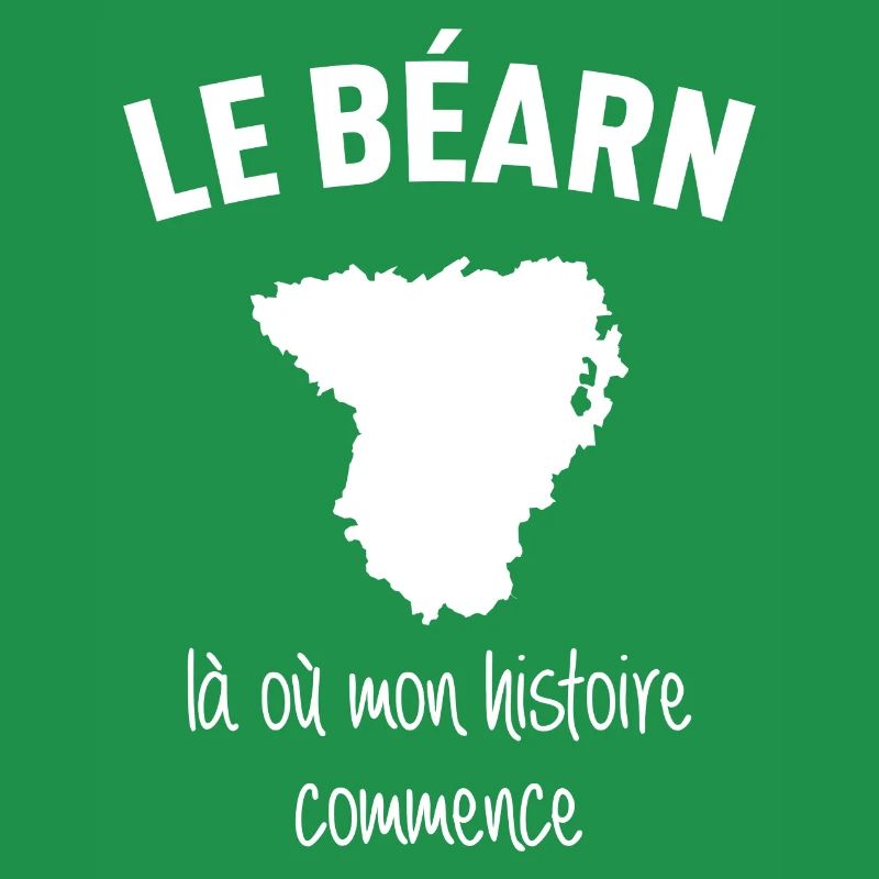 bearn-histoire