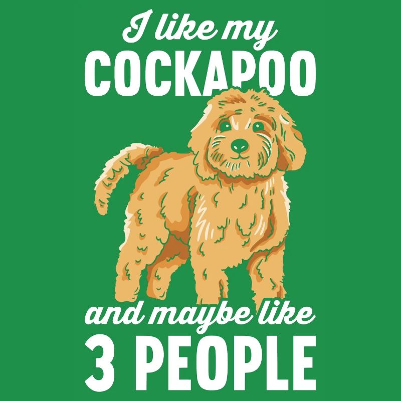 Cockapoo Hund