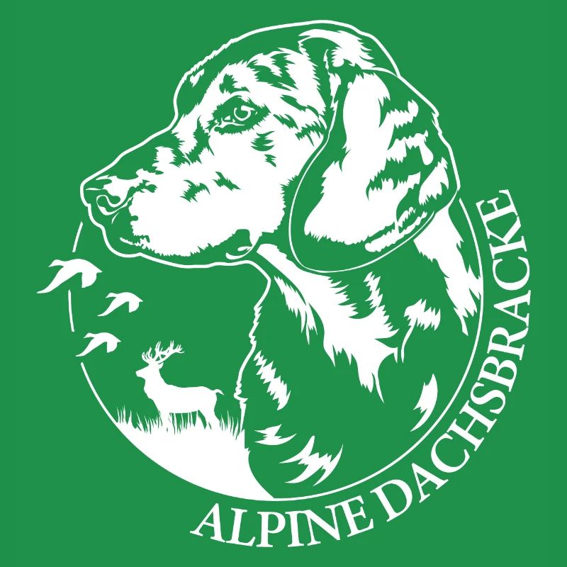 ALPINE DACHSBRACKE Hundeportrait Jagdhund Wilsigns