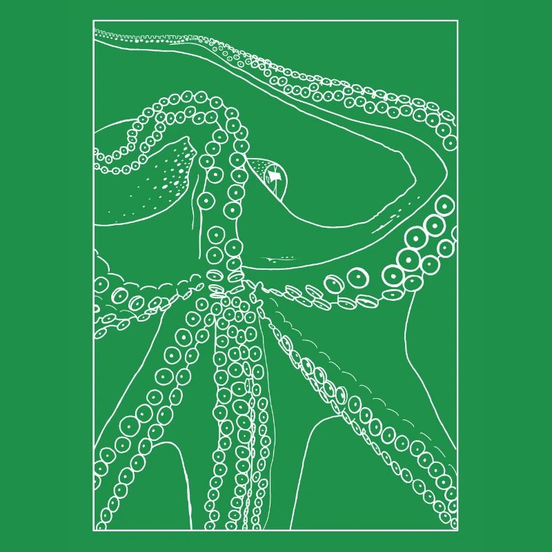 Octopus from below with frame