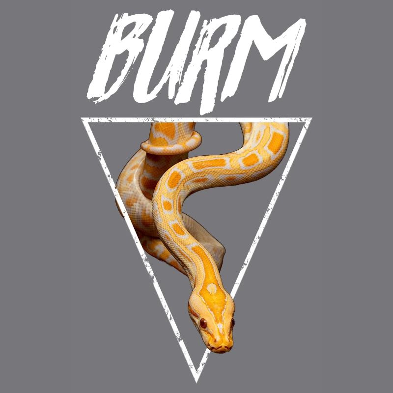 Albino Burmese Python Snake Owner