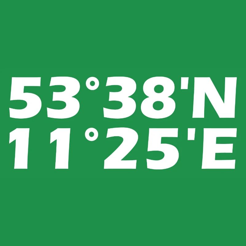 Schwerin coordinates