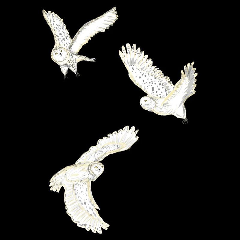 Flying snow owls