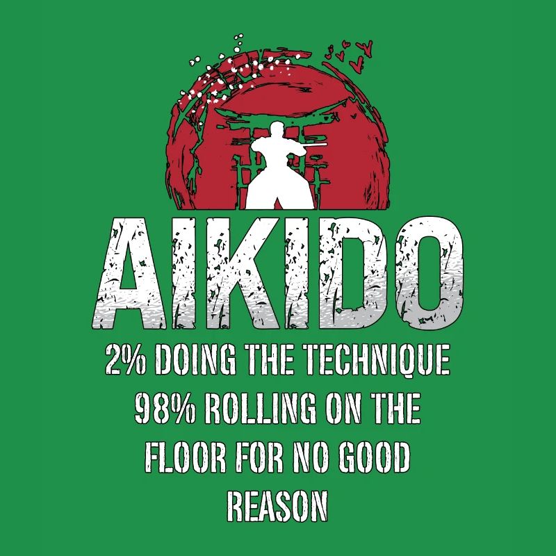 Aikido 2% Doing The Technique 98% Samurai Fighter