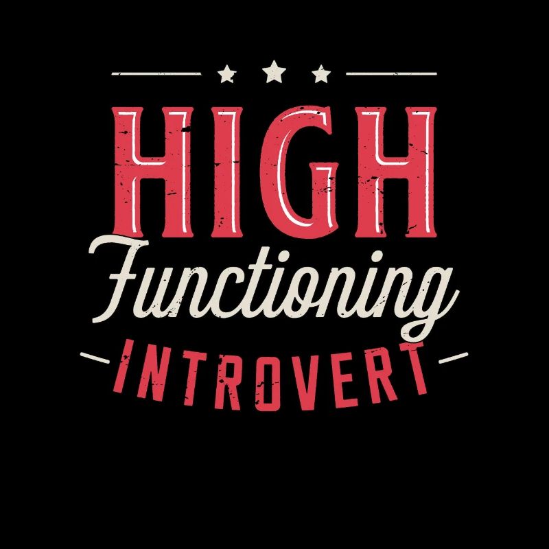 Introvert High Functioning Introverted Personality