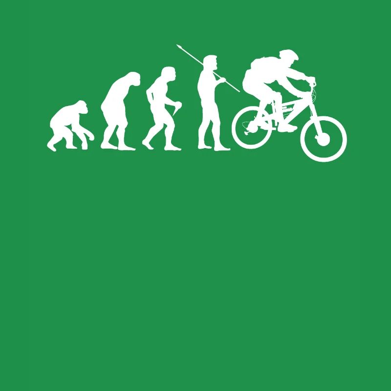 Downhill Vélo MTB Evolution