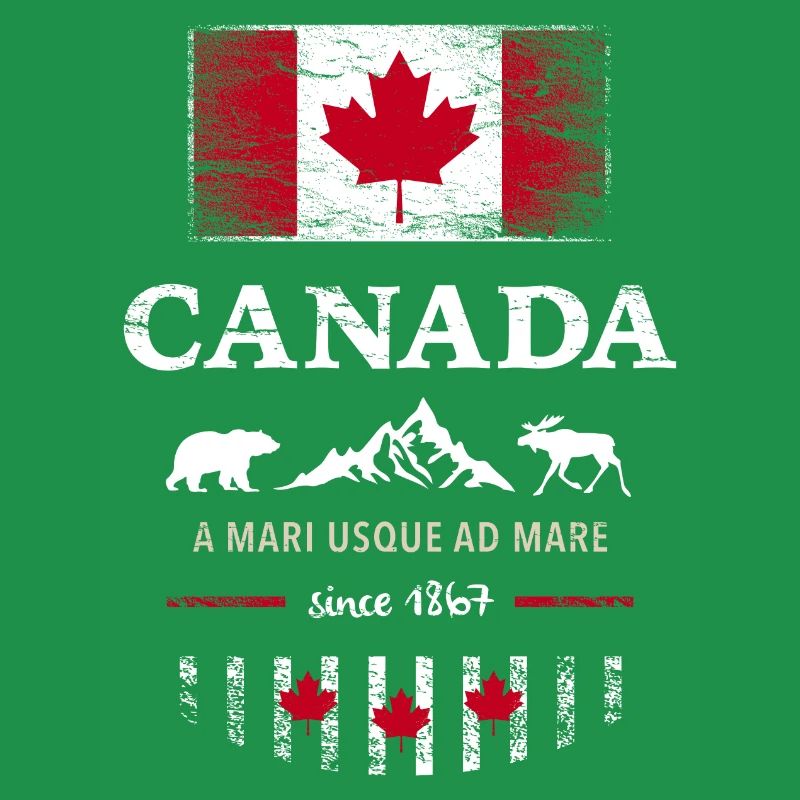 Canada Kanada Amerika maple leaf Flagge Fahne