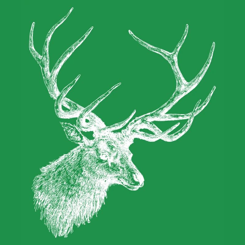 Hirsch Elch Geweih Hirschkopf Jäger