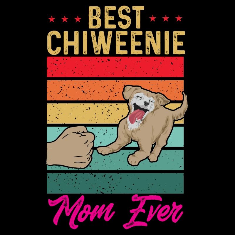 Chiweenie Dog