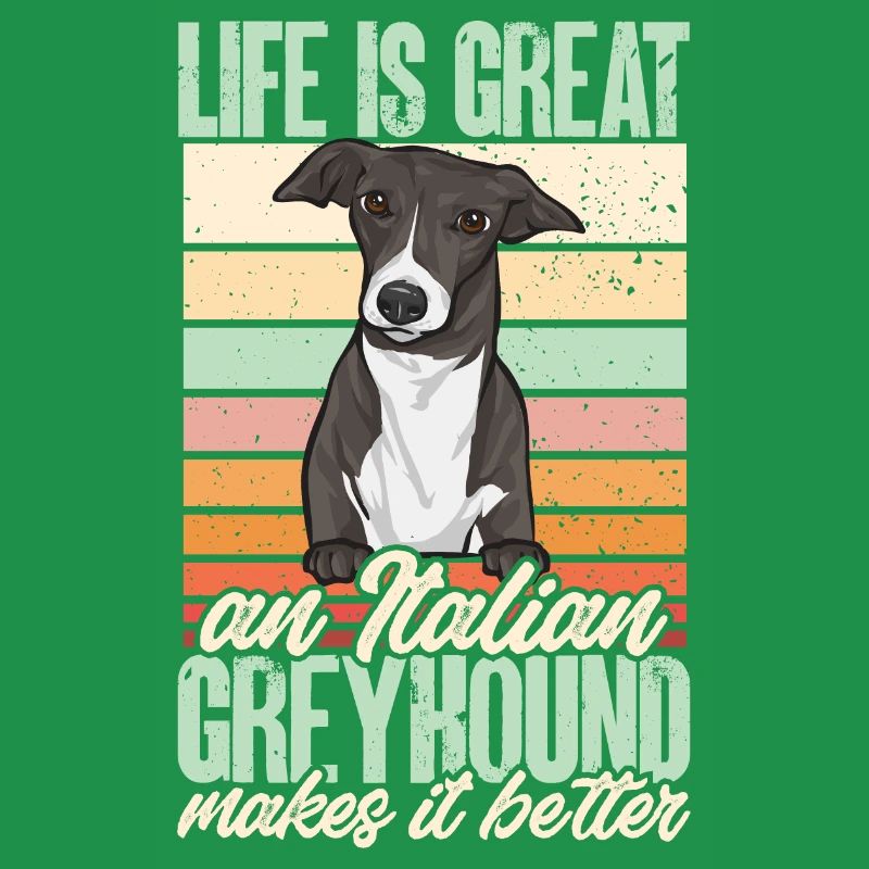 Lévrier italien Greyhound Chiens