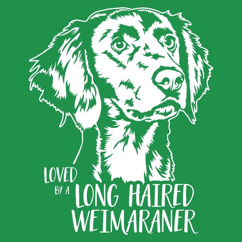 Loved by a Long Haired Weimaraner Hunde Wilsigns