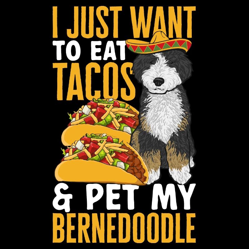 Bernedoodle Hund