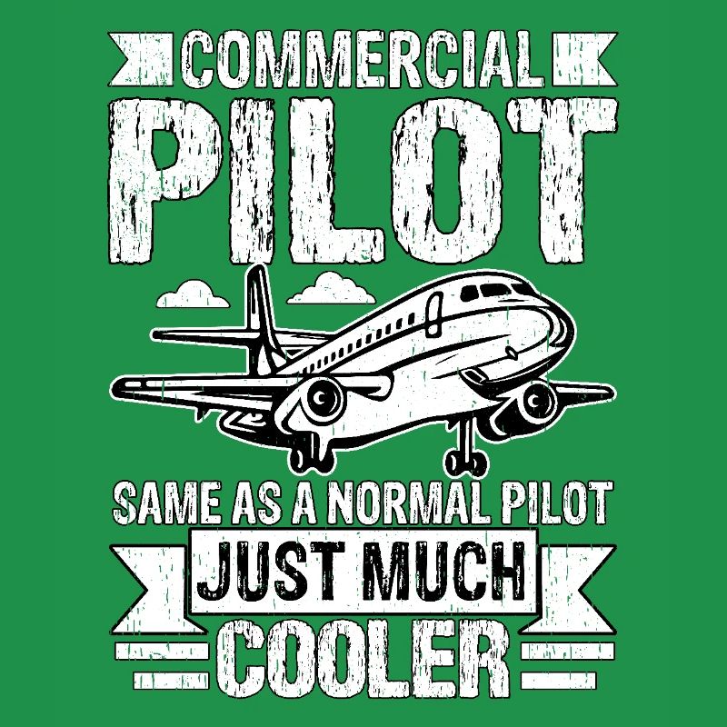 Berufspilot wie ein normaler Pilot nur viel
