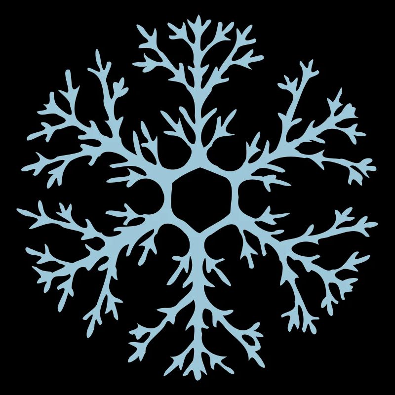 Flocon de neige naturel avec de nombreuses ramifications