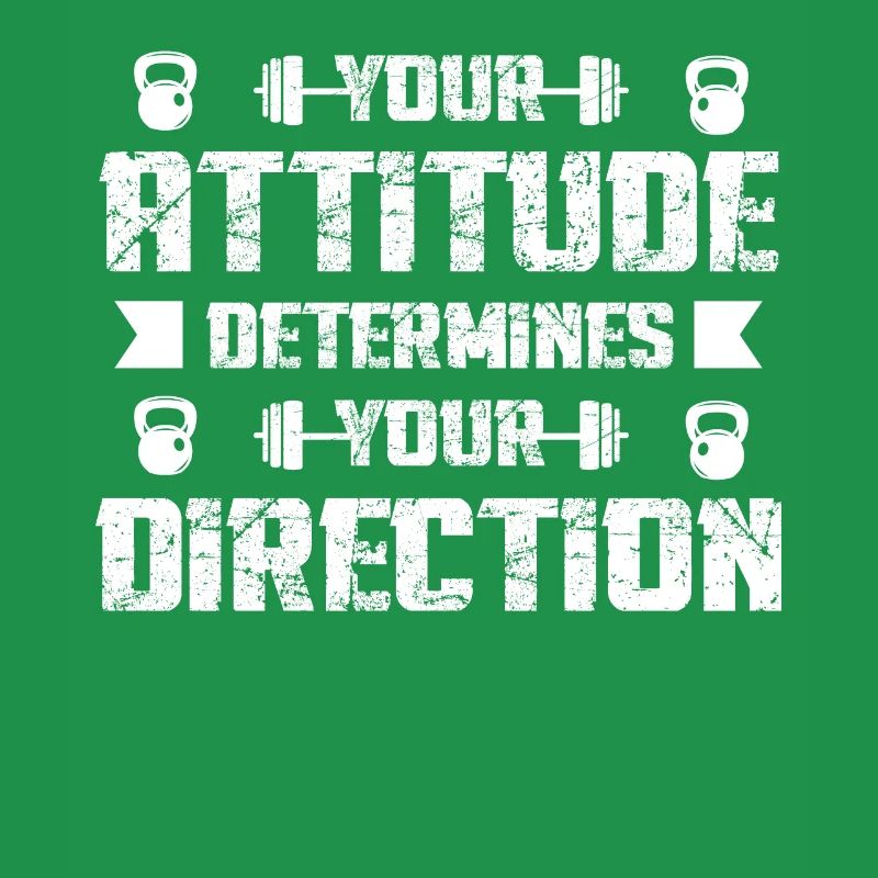 Your attitude determines your direction -
