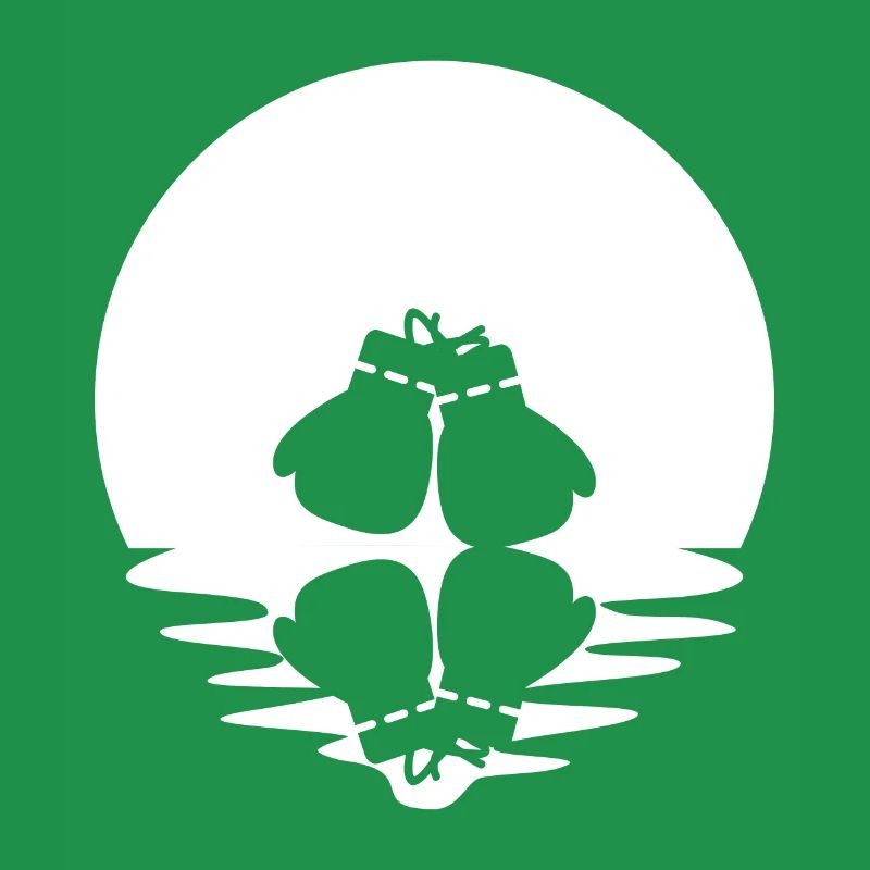 Kreis und Reflexion - Boxhandschuhe -