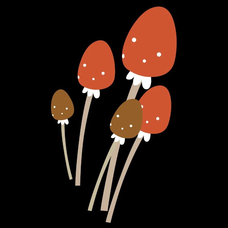 champignons champignons vegetables7 veggie veggie champignons