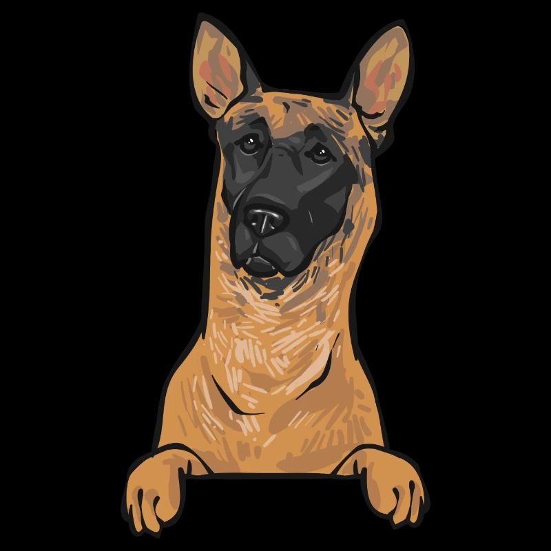 Malinois Belgian Shepherd Mechelaar Dog