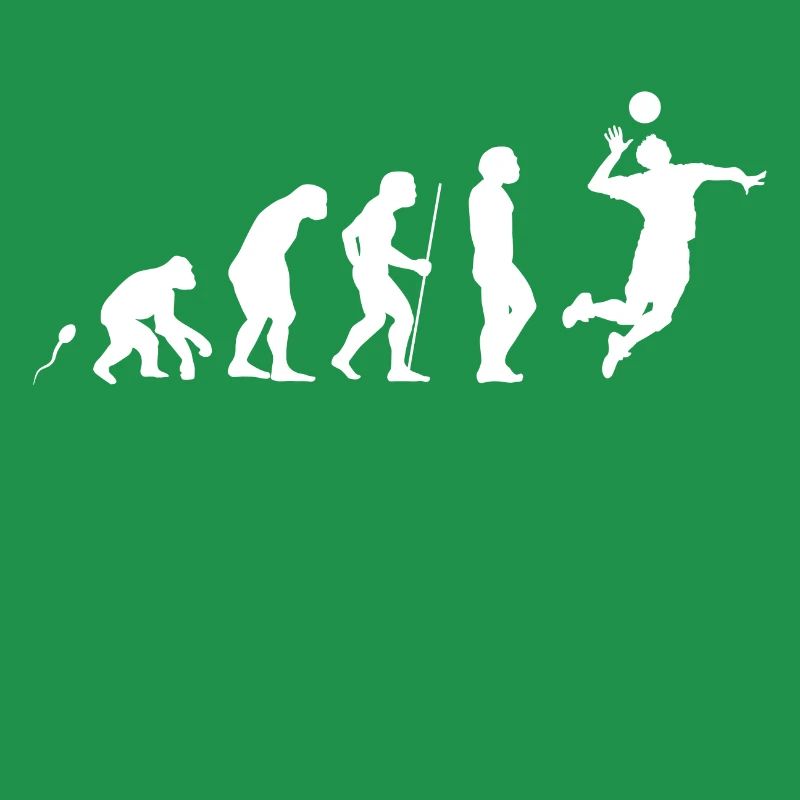Evolution Volleyball 3
