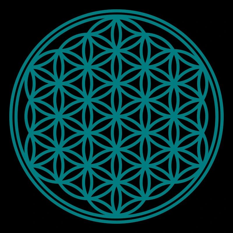 Fleur de la vie - Vector - 01, 1c, sacred geometry