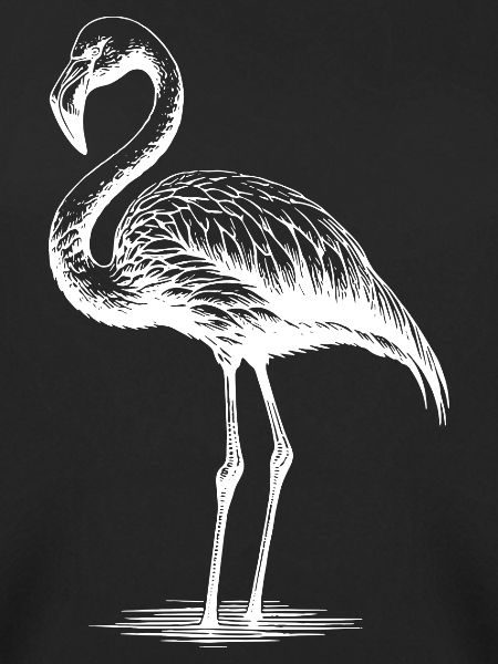 Cuddly Flamingo