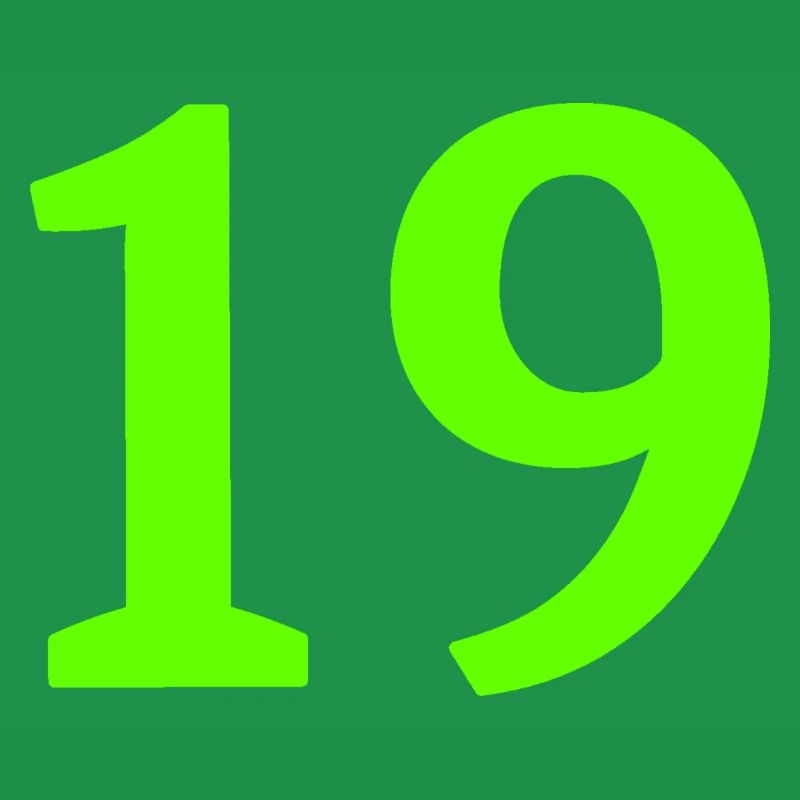 Number 19
