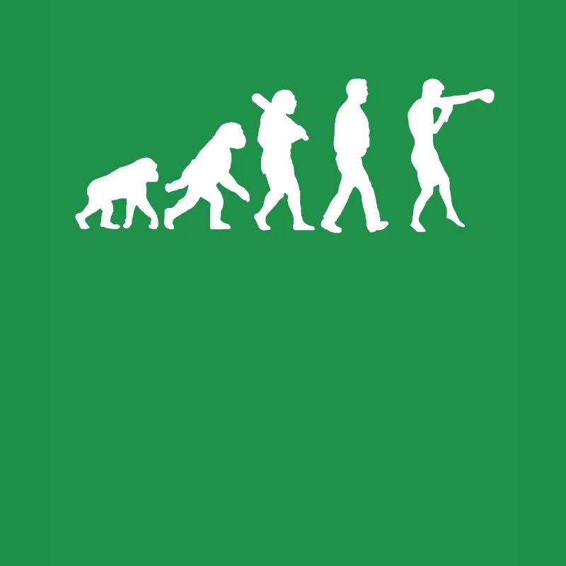 Evolution des Boxens