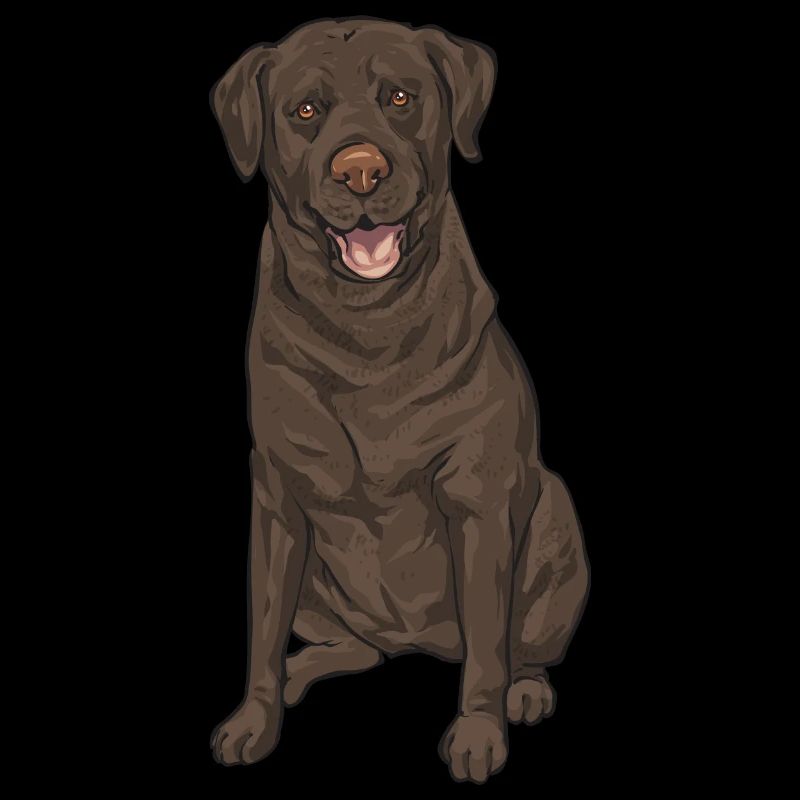 Chien Labrador Retriever chocolat