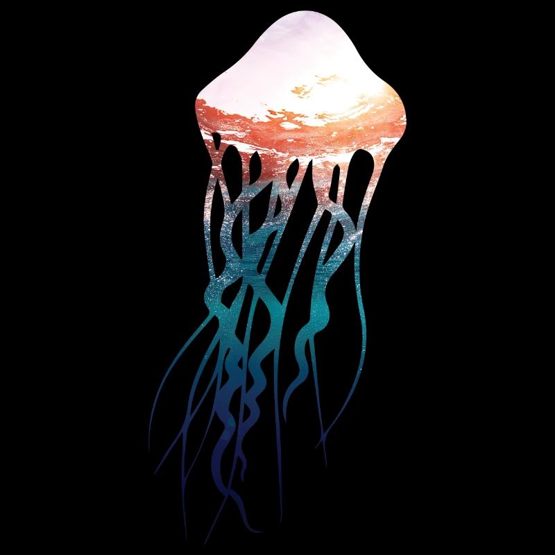 Méduses - Sous l’eau avec coucher de soleil
