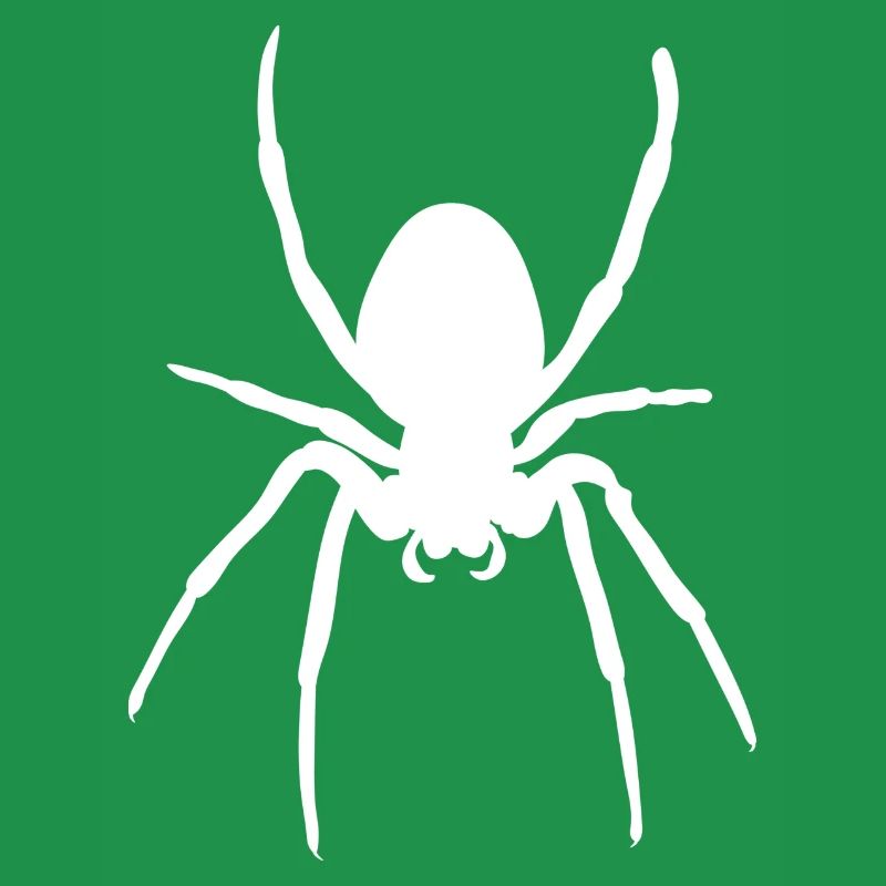 Spinne d’araignée