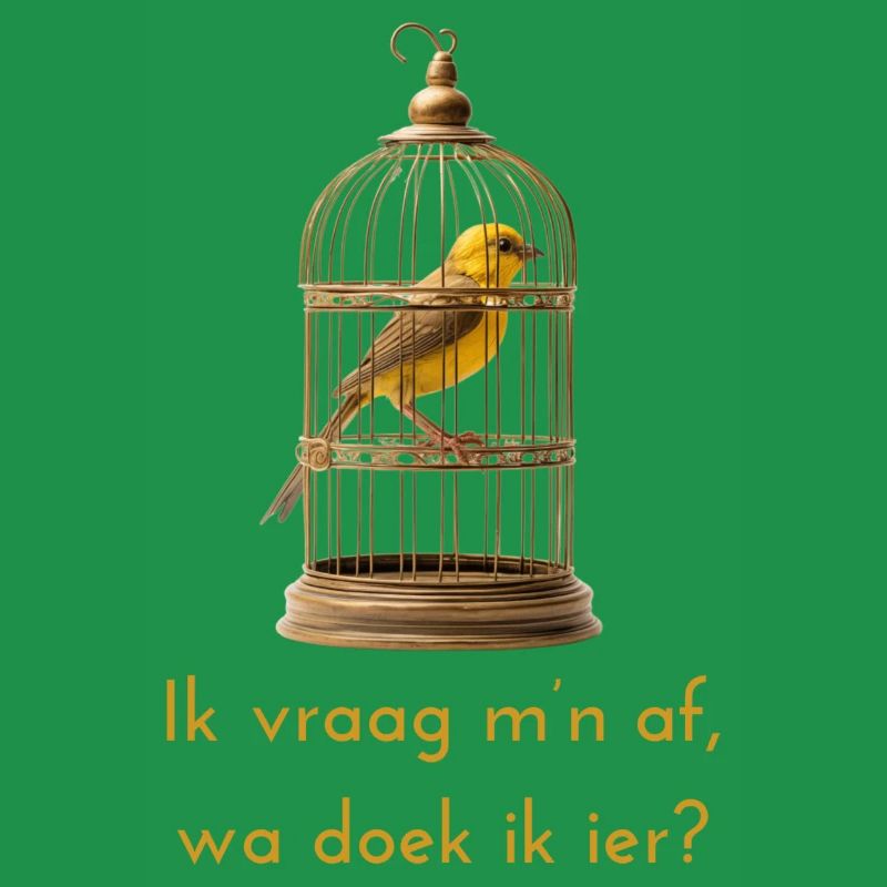 Je me demande? Dialecte anversois Chemises