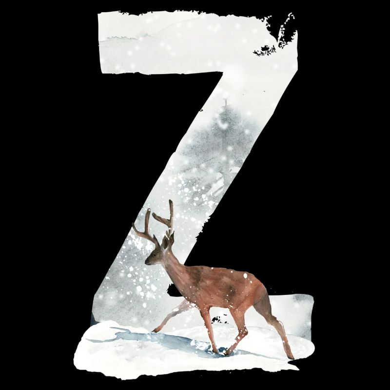 Z – decorative character – winter